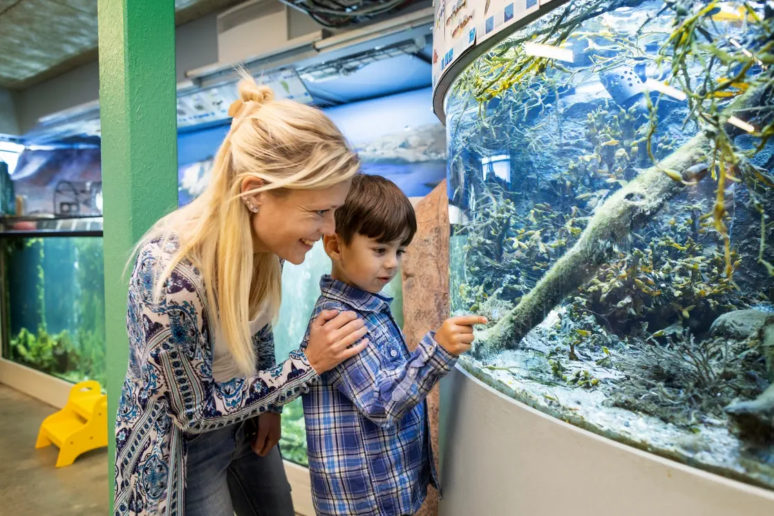 Mamma och son ser på akvarium på Havets Hus