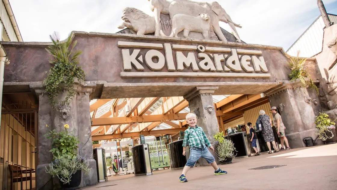 Pojke framför Kolmården